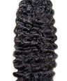 Burmese Curly