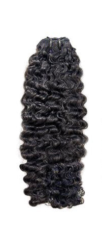 Burmese Curly