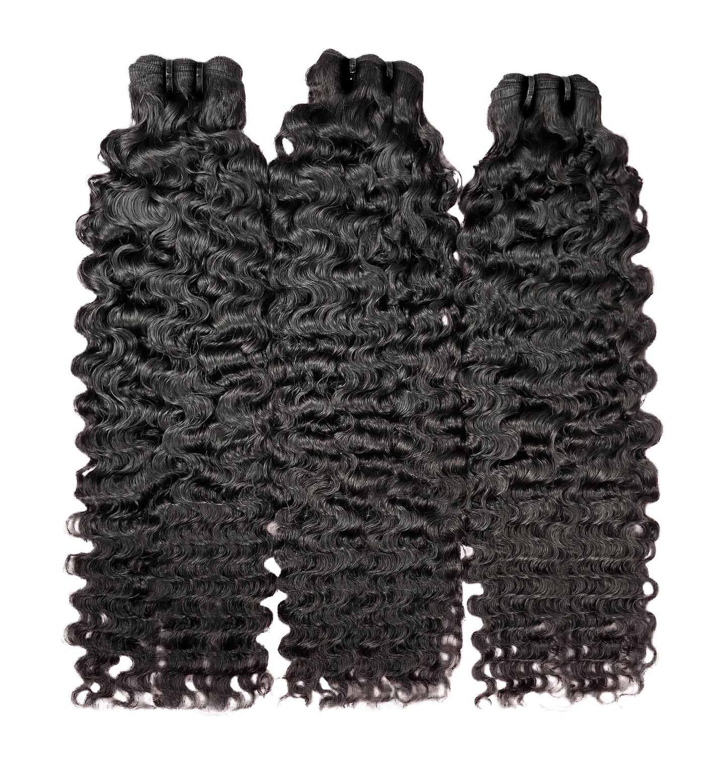 Burmese Curly